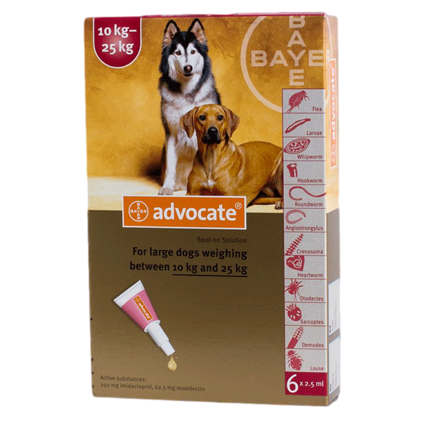 Pet supply advantage shop multi for dogs